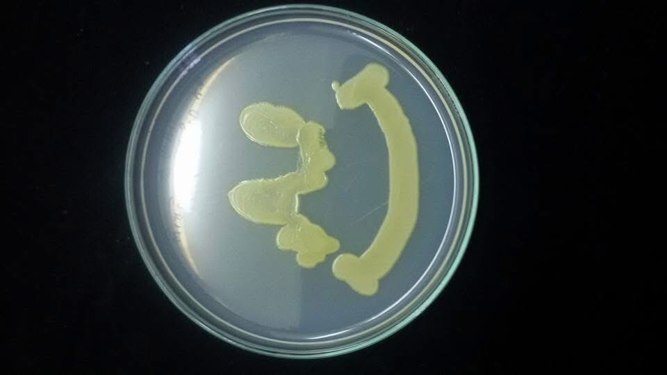 ความสนุกสนานในการเรียนรู้